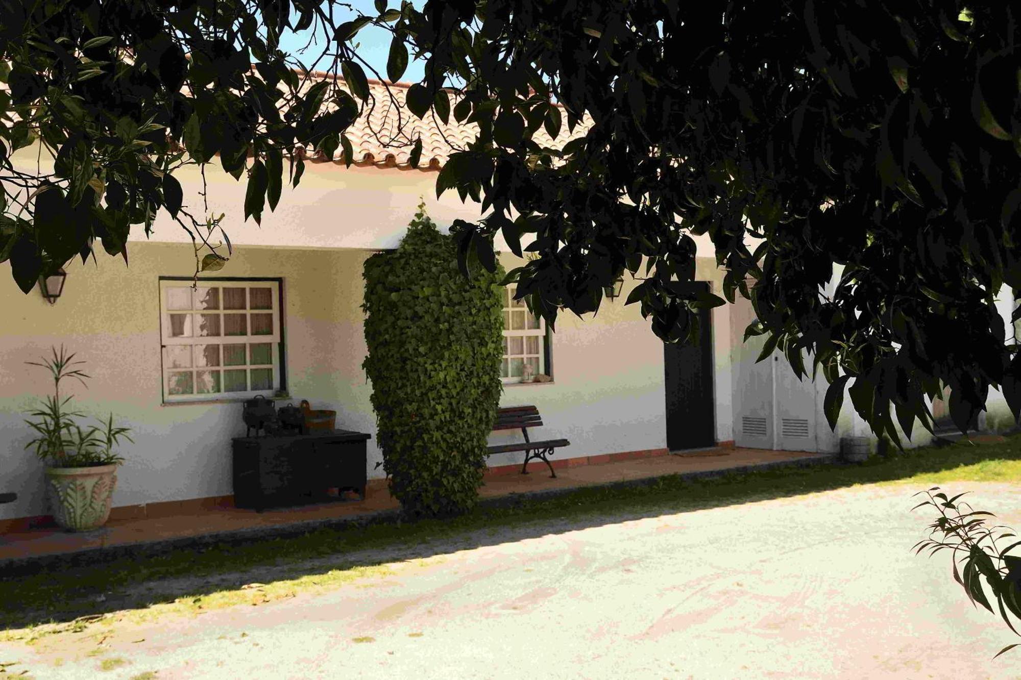 Villa Quinta da Fata Nelas Esterno foto