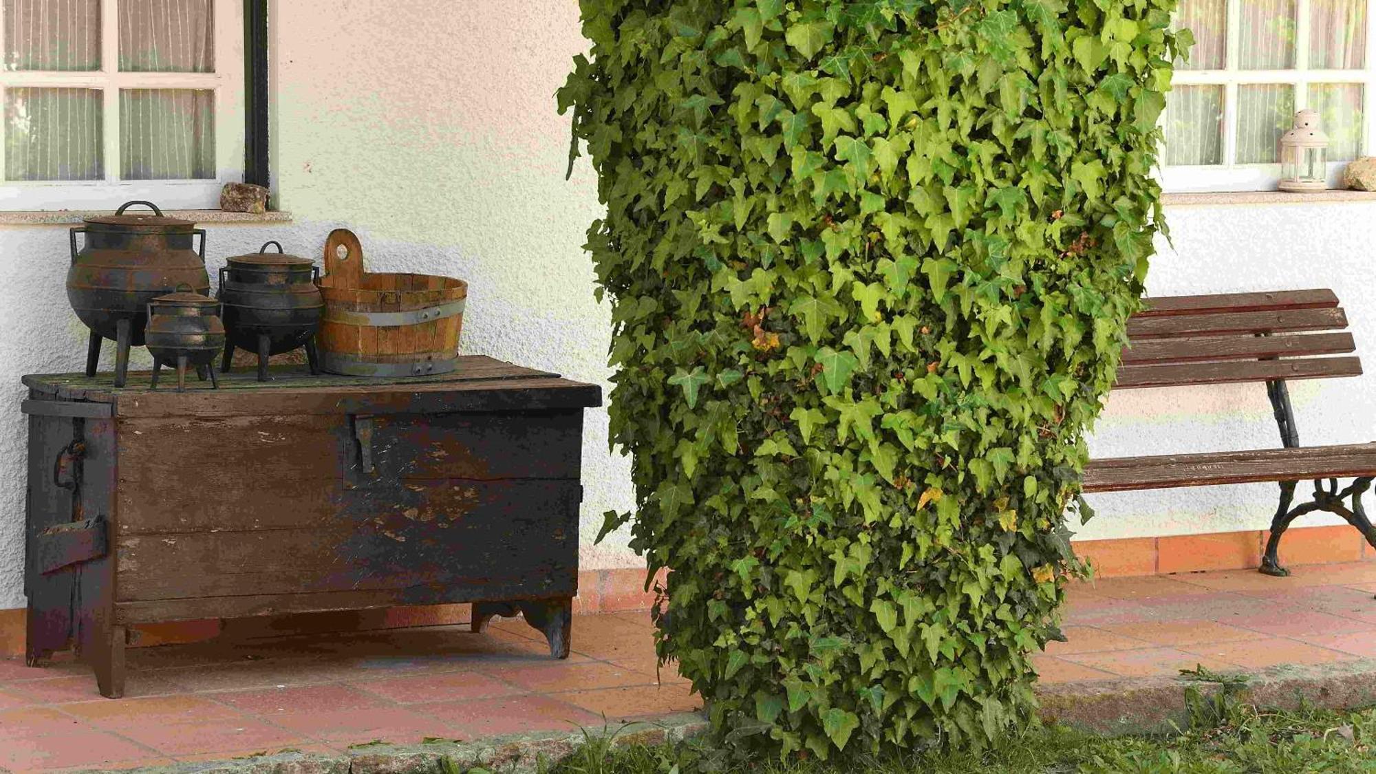 Villa Quinta da Fata Nelas Esterno foto