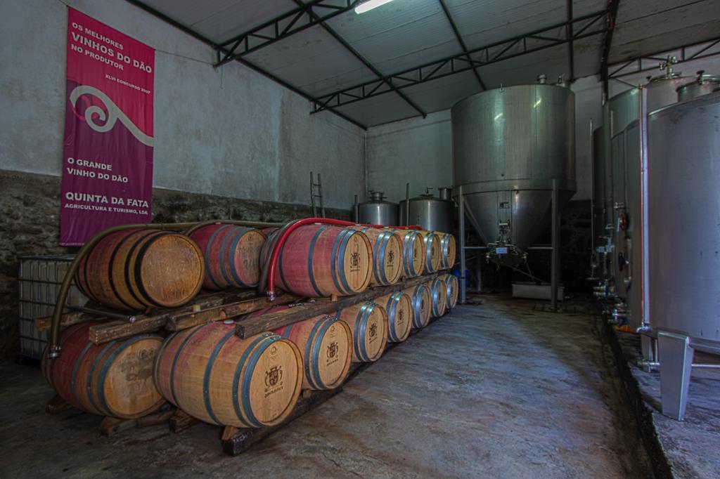 Villa Quinta da Fata Nelas Esterno foto